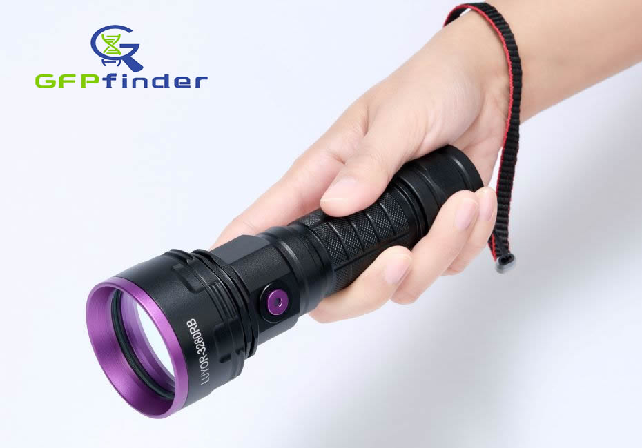 GFPfinder  Fluorescence Flashlight