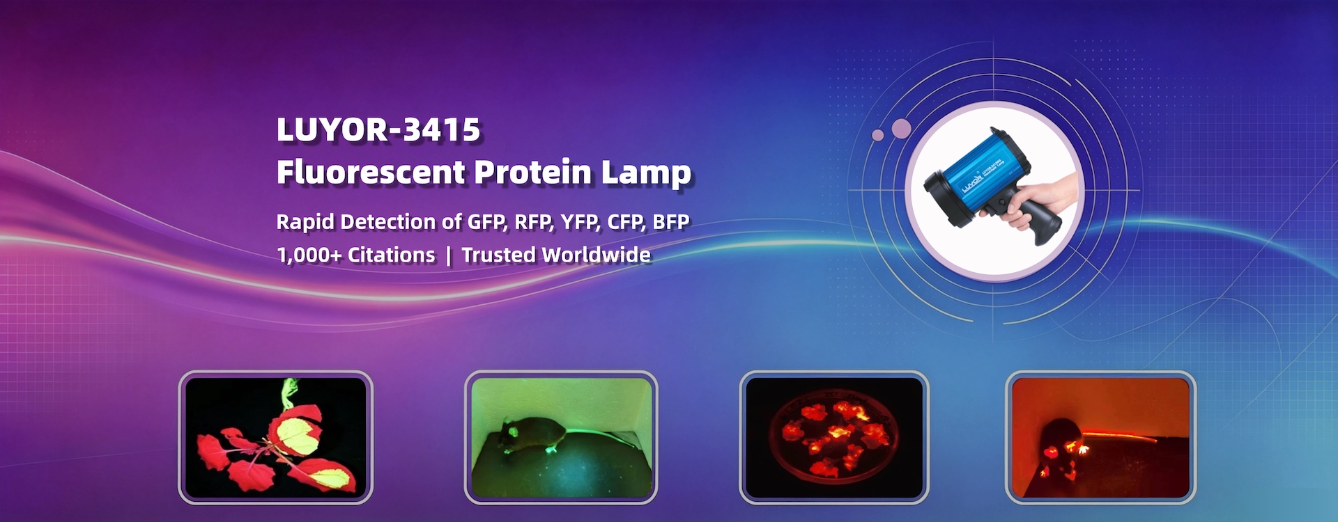 Fluorescent Protein Light Source
