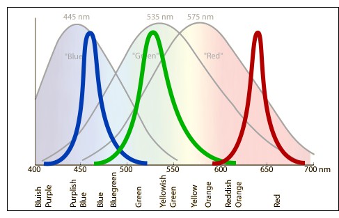 LUYOR-3260 Excitation and Emission