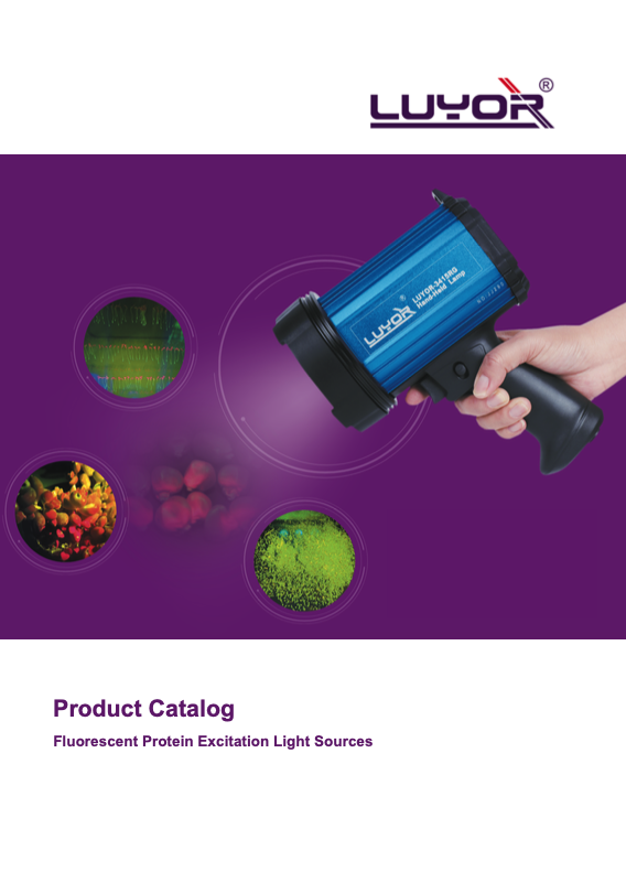 Fluorescent Protein Light Sources Catalog
