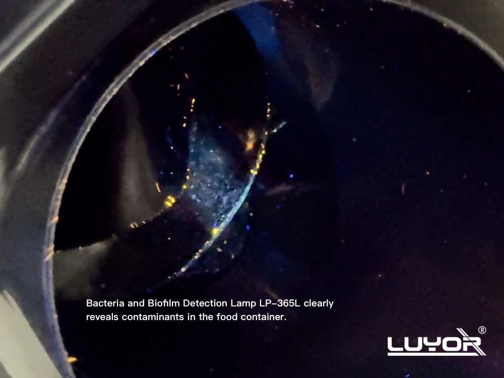 Bacteria and Biofilm Detection Lamp LP-365L detects contaminants in food containers
